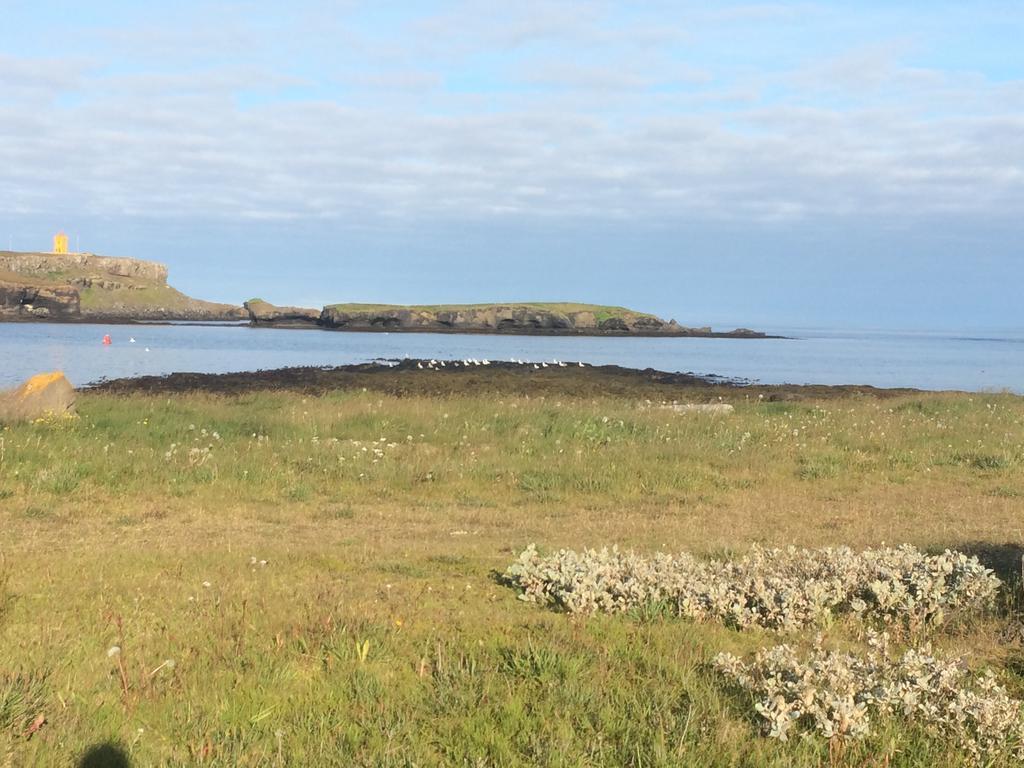 Sólsetur Guesthouse Raufarhöfn Eksteriør bilde